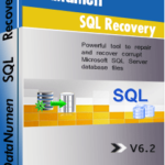 DataNumen SQL Recovery