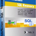 DataNumen SQL Recovery 6.3