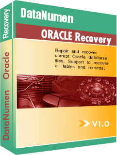 DataNumen Oracle Recovery Boxshot